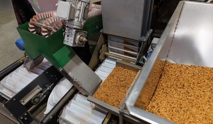 Processing & Packaging