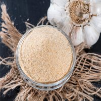 Garlic-Powder
