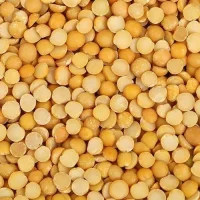 matar-dal-500x500