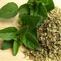 oregano-icon-lr