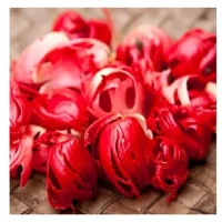 product-jpeg-500x500 (2)